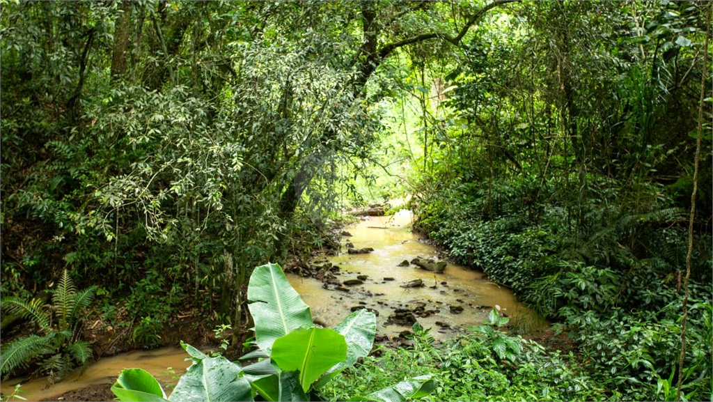 Fazenda à venda com 8 quartos, 1500m² - Foto 22