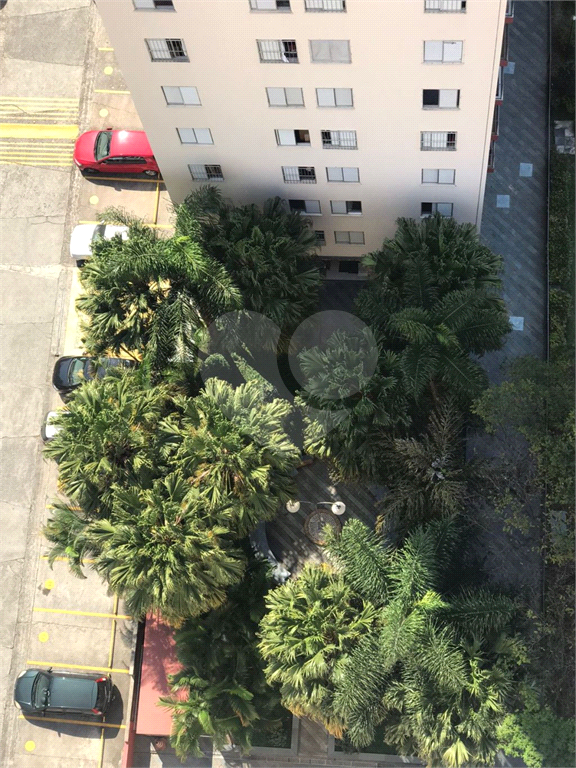 APARTAMENTO em PIRITUBA