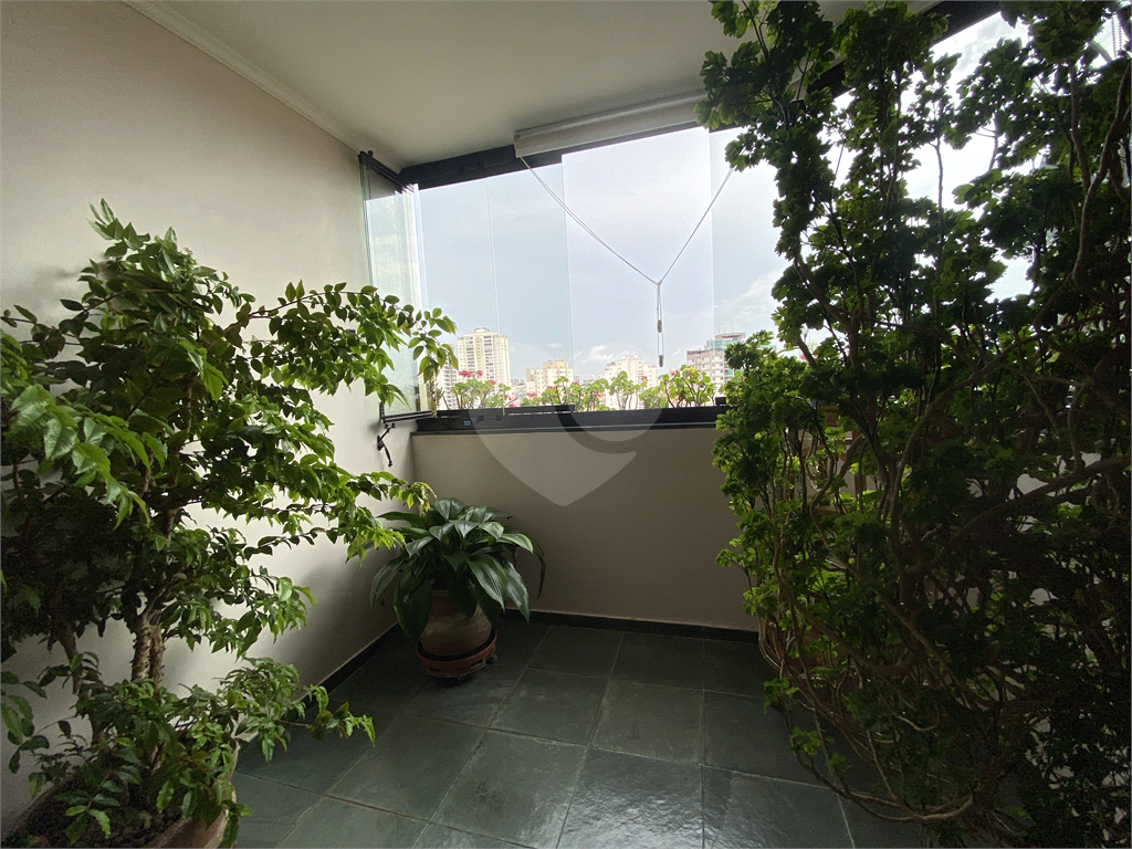 Apartamento na Região de Santa Terezinha, próximo da Avenida Engenheiro Caetano Alvares