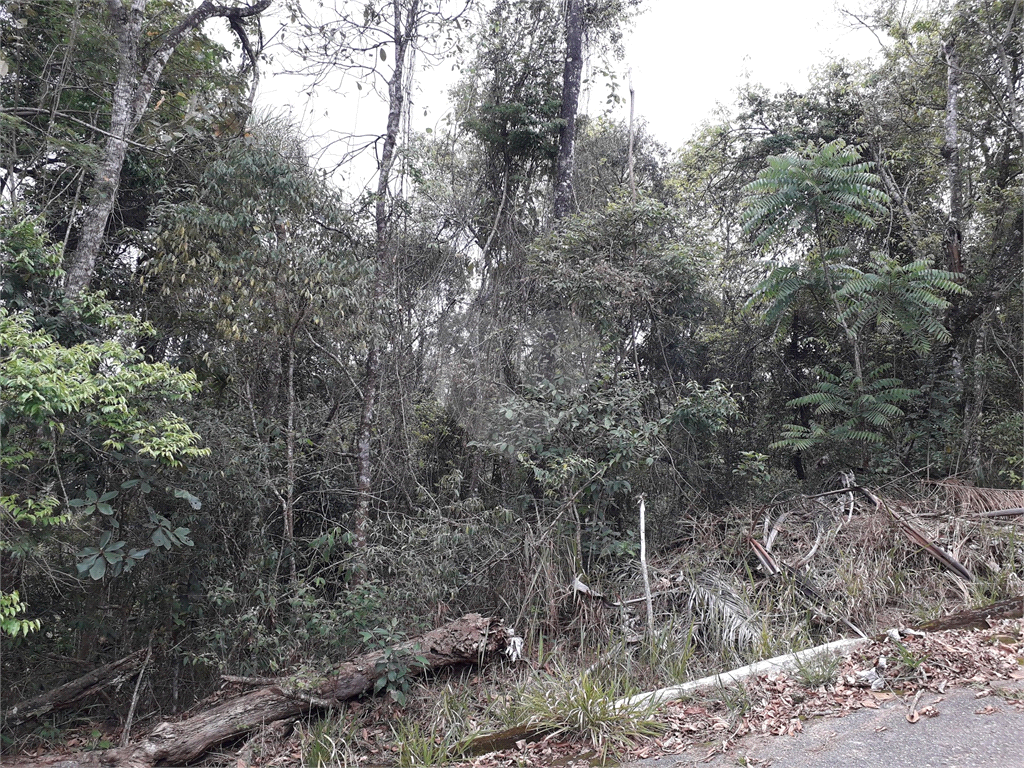 Terreno no Loteamento Sausalito. Estuda permuta. Estuda parcelamento direto. Aceita carro.