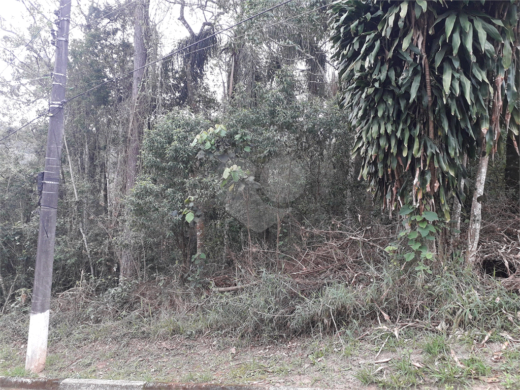 Terreno no Loteamento Sausalito. Estuda permuta. Estuda parcelamento direto. Aceita carro.