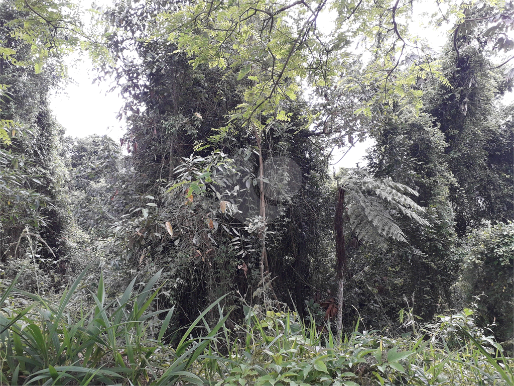 Terreno no Loteamento Sausalito. Estuda permuta. Estuda parcelamento direto. Aceita carro.