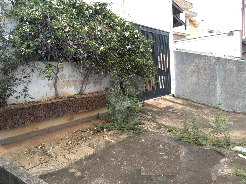 Terreno  com 429 m2 - Mandaqui 