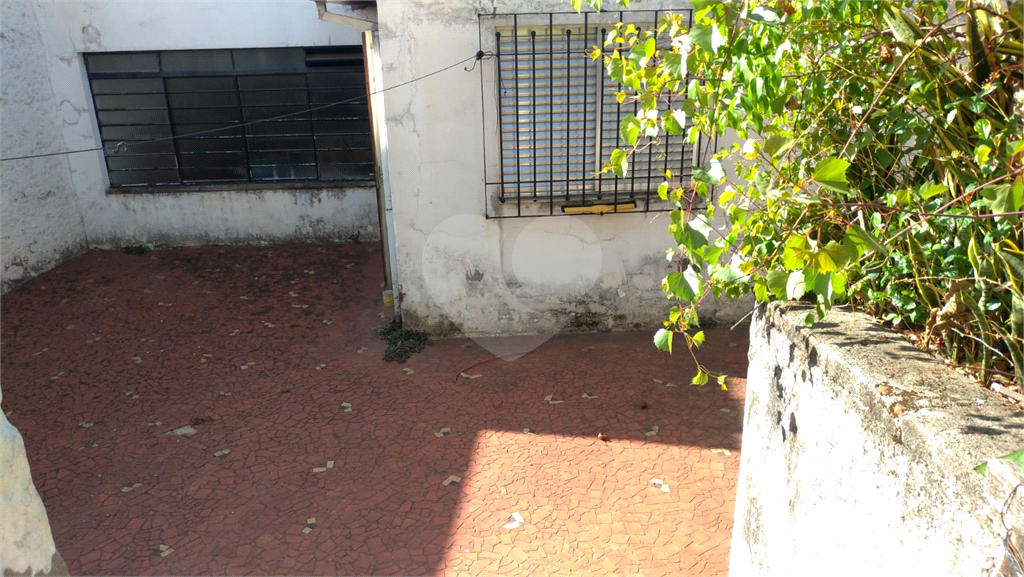 Terreno  com 429 m2 - Mandaqui 