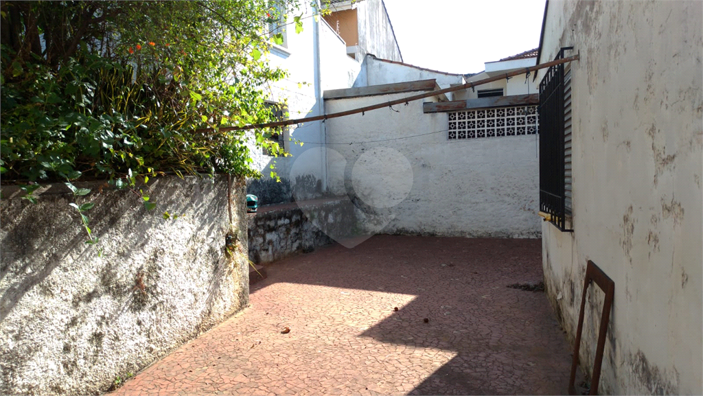 Terreno  com 429 m2 - Mandaqui 