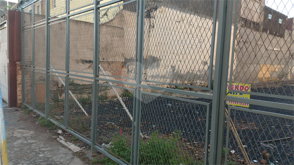 Terreno excelente No Pari , divisa com Brás - 10 x 45,5 metros quadrados
