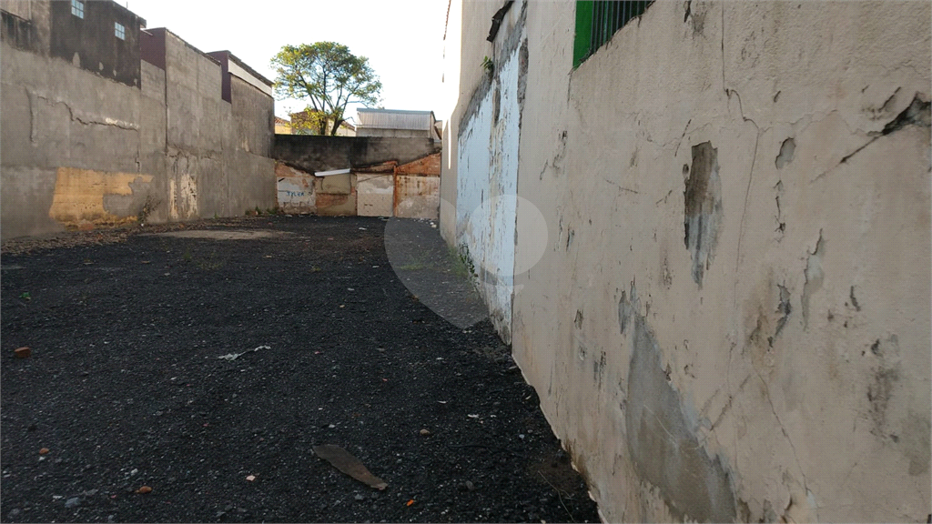 Terreno excelente No Pari , divisa com Brás - 10 x 45,5 metros quadrados
