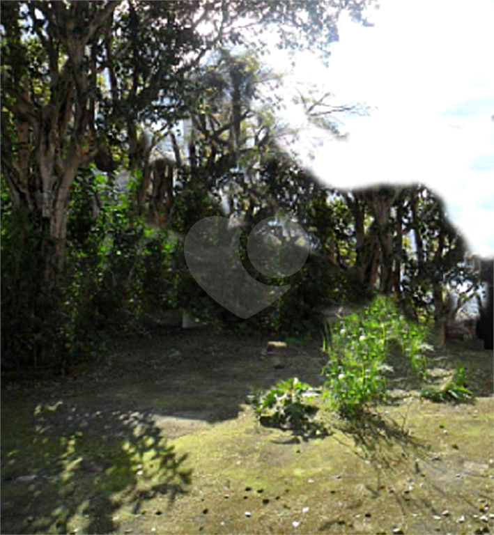 Terrenos
