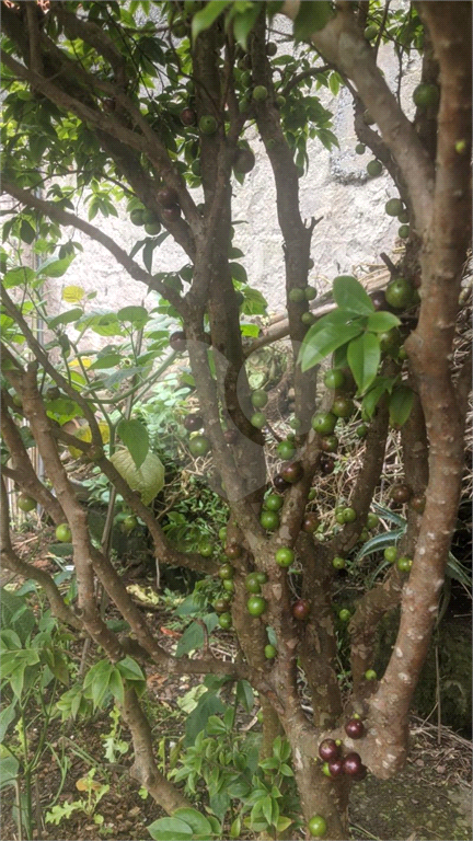 VILA ASSIS - MAUÁ -  LINDO SOBRADO IMPECÁVEL COM COZINHA CAIPIRA !