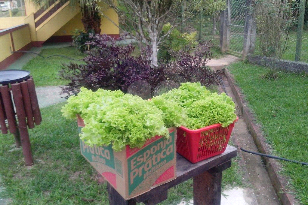 >>>SUA CHANCE DE TER SEU SÍTIO EM JUQUITIBA<<<