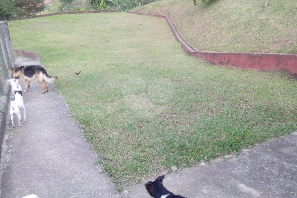 >>>SUA CHANCE DE TER SEU SÍTIO EM JUQUITIBA<<<