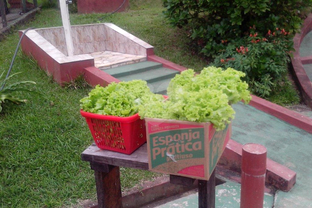 >>>SUA CHANCE DE TER SEU SÍTIO EM JUQUITIBA<<<