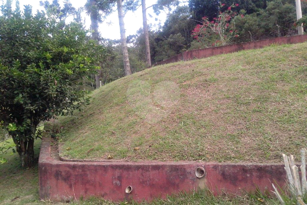 >>>SUA CHANCE DE TER SEU SÍTIO EM JUQUITIBA<<<