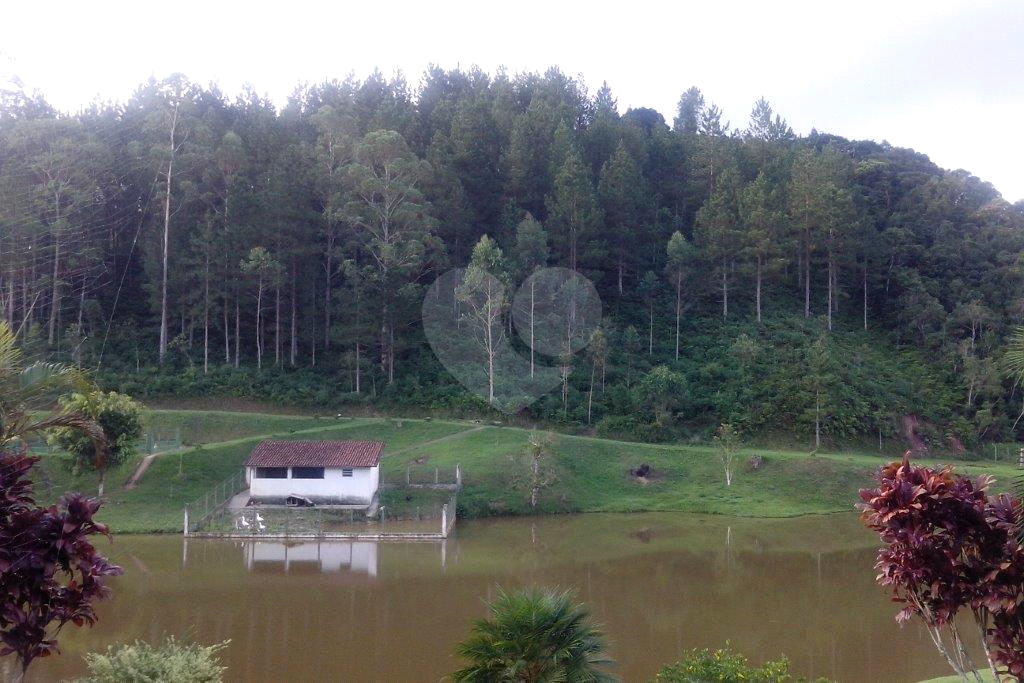 >>>SUA CHANCE DE TER SEU SÍTIO EM JUQUITIBA<<<