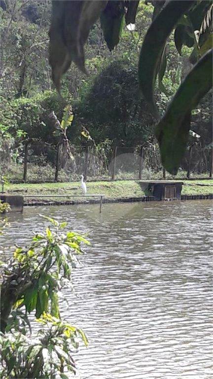 >>>SUA CHANCE DE TER SEU SÍTIO EM JUQUITIBA<<<