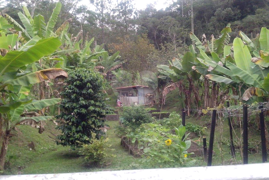 >>>SUA CHANCE DE TER SEU SÍTIO EM JUQUITIBA<<<