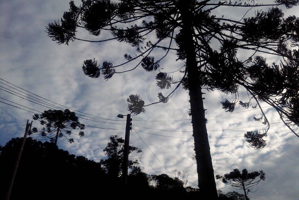 >>>SUA CHANCE DE TER SEU SÍTIO EM JUQUITIBA<<<