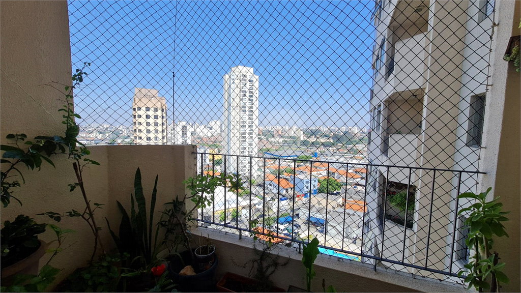 Apartamento de 3 quartos no Ipiranga