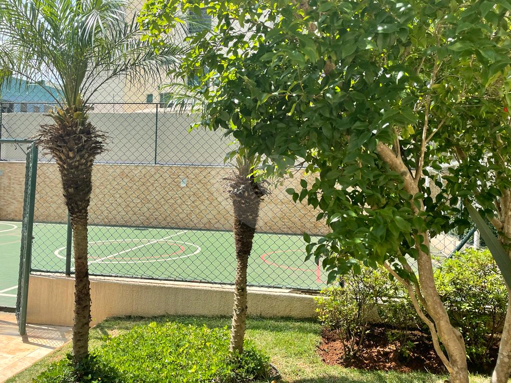 Linda cobertura Duplex em Santana