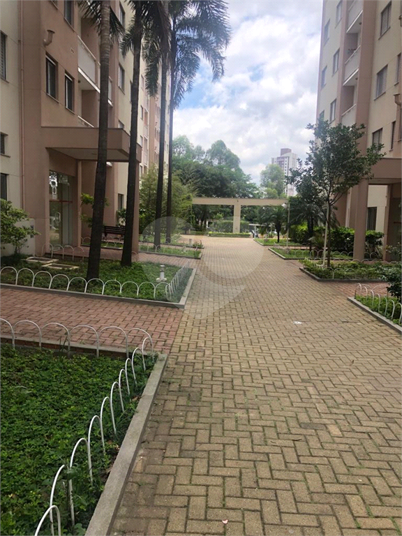 APARTAMENTO 3 DORMITÓRIOS 65 M² BUTANTÃ LOCAÇÃO