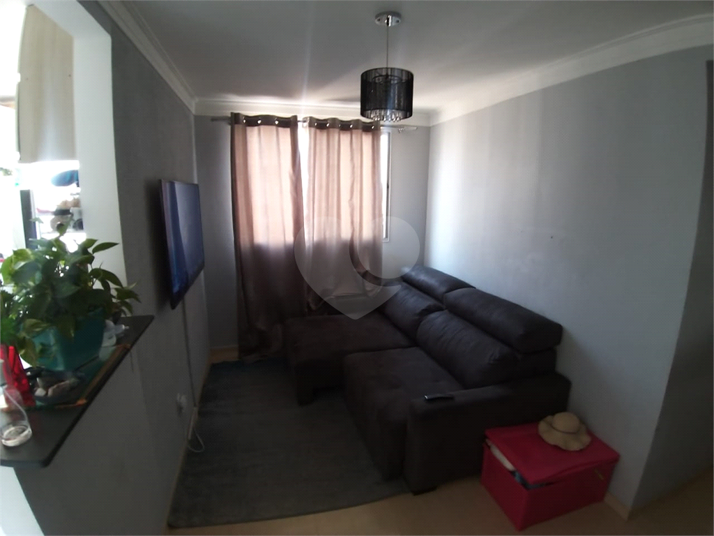 APARTAMENTO em JARAGUÁ