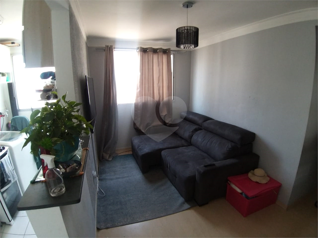 APARTAMENTO em JARAGUÁ
