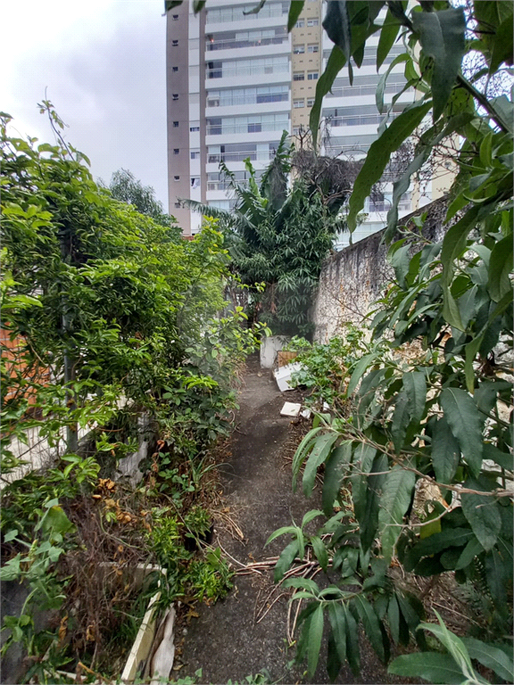Excelente terreno na Santa Terezinha!! 