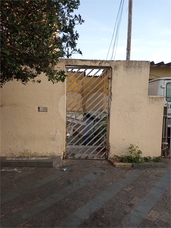 Terreno na Vila Maria 8,3m frente X 33m fundos