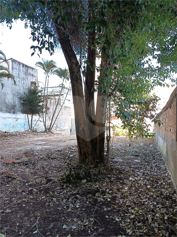 TERRENO em SANTANA