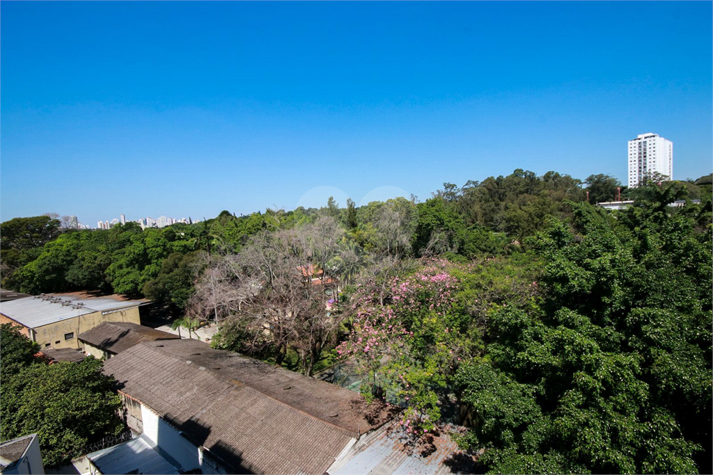 APARTAMENTO em SANTO AMARO
