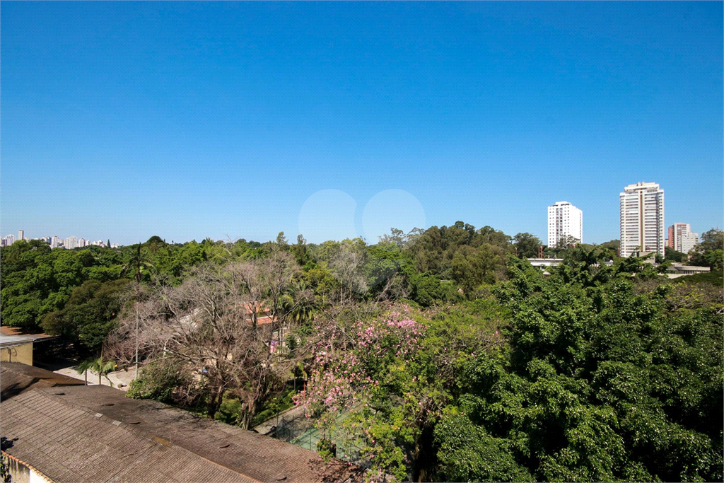 APARTAMENTO em SANTO AMARO