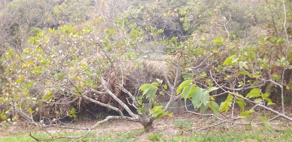 CHÁCARA em CAMPO LIMPO PAULISTA