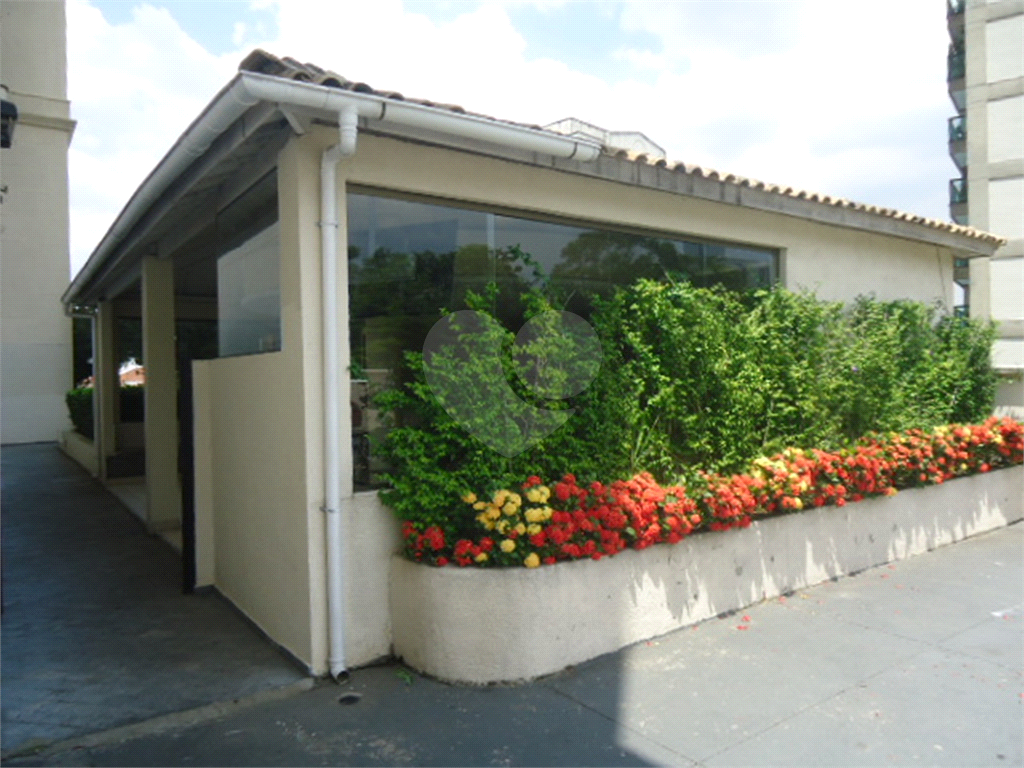 Excelente Apartamento  Repleto de armários - 02 Dormitórios - 01 Suíte - 01 vaga - PARQUE MANDAQUI