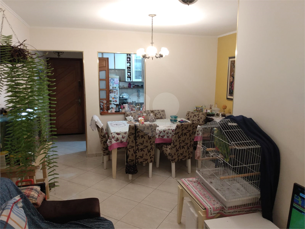 Apartamento 3 dormitórios na Mooca