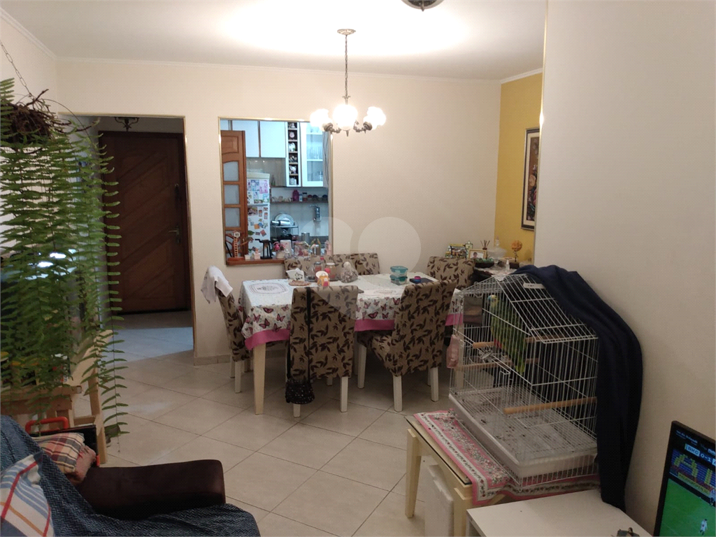 Apartamento 3 dormitórios na Mooca