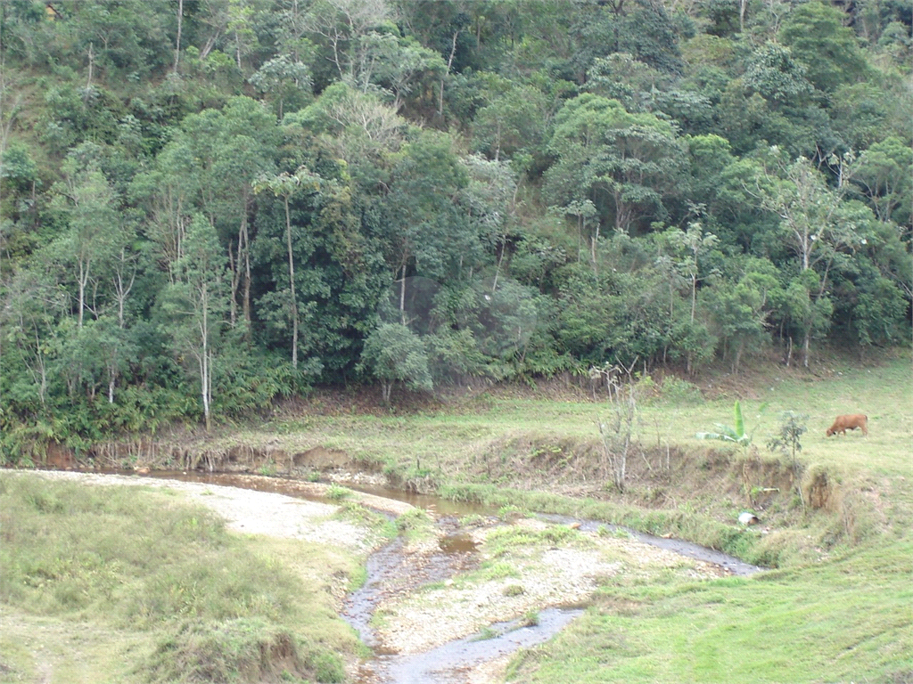 Fazenda à venda com 5 quartos, 1232000m² - Foto 11