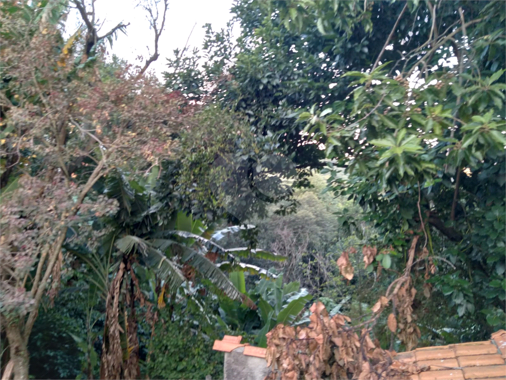 Terreno residencial