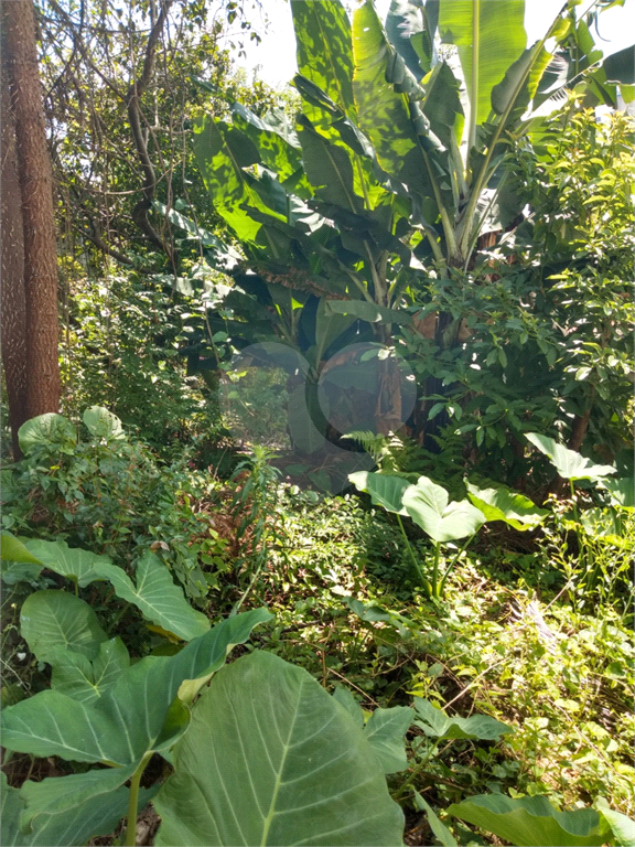 TERRENO em SANTANA