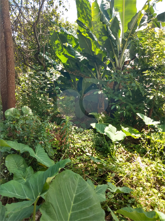 TERRENO em SANTANA