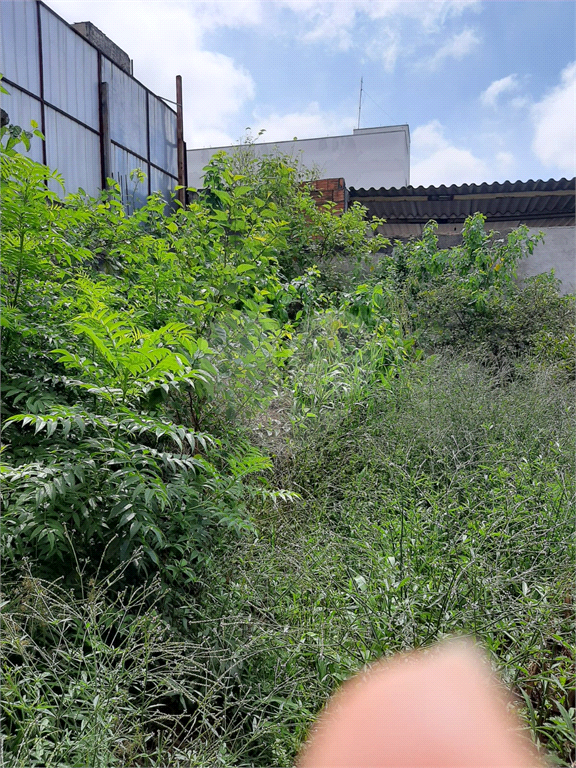 Terreno a venda no bairro do Tucuruvi