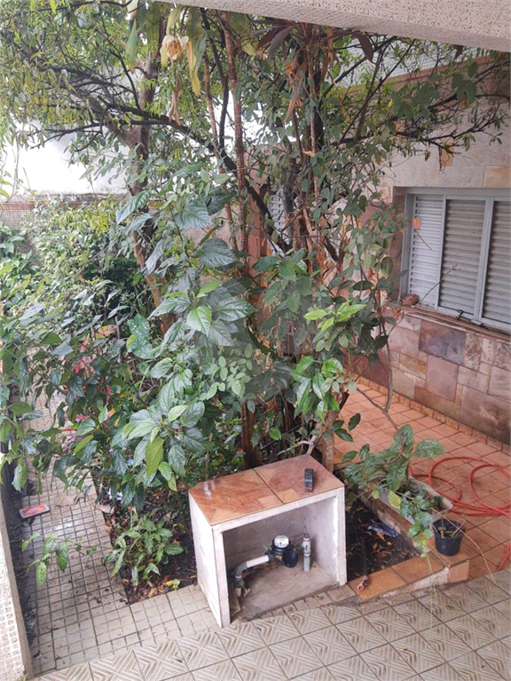 CASA em VILA MARIA