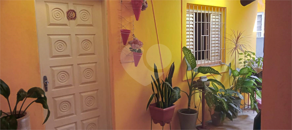 CASA em PARQUE EDU CHAVES