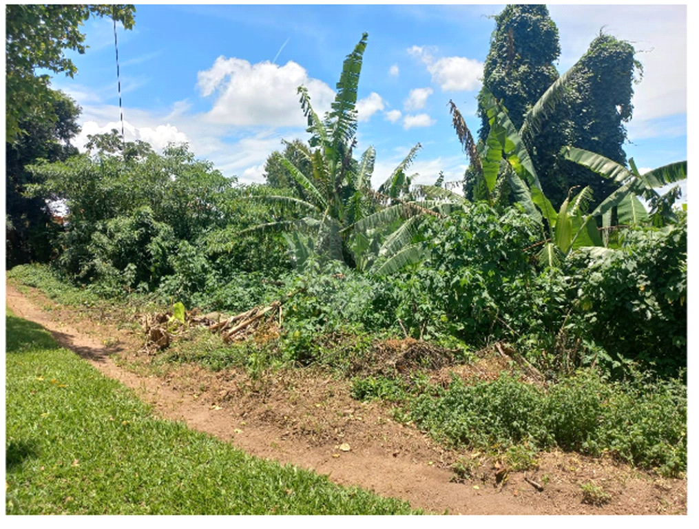 Serra da Cantareira Terreno Plano à venda no Condomínio Suíça da Cantareira.com 1.302 m² 