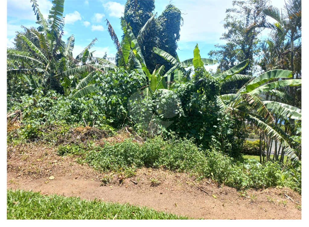 Serra da Cantareira Terreno Plano à venda no Condomínio Suíça da Cantareira.com 1.302 m² 