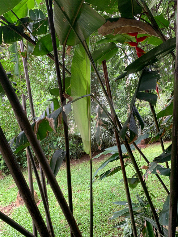 Casa no Jardim Floresta