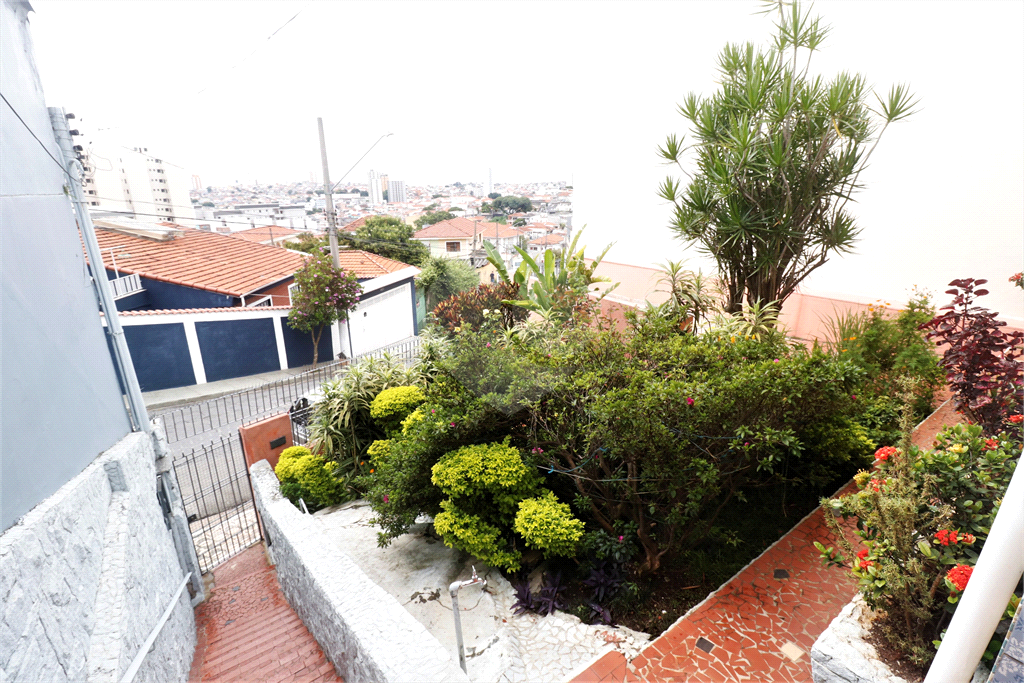 Linda casa com 3 dormitórios, sendo 1 suíte, e 1 vaga na Vila Gustavo. 