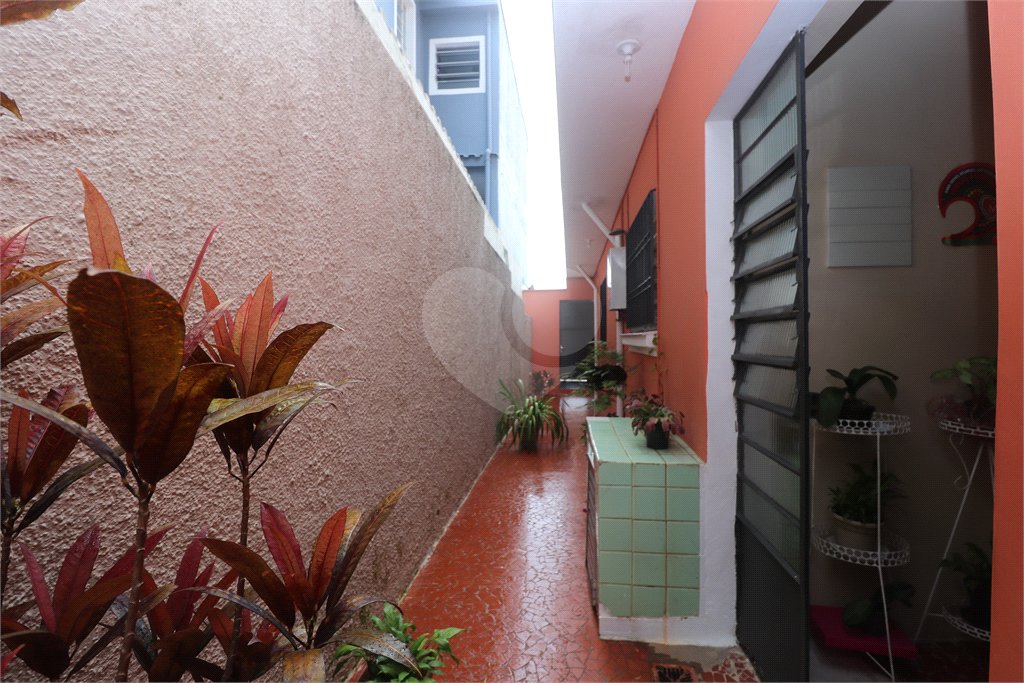 Linda casa com 3 dormitórios, sendo 1 suíte, e 1 vaga na Vila Gustavo. 