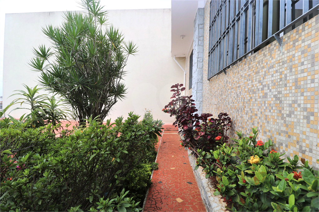 Linda casa com 3 dormitórios, sendo 1 suíte, e 1 vaga na Vila Gustavo. 