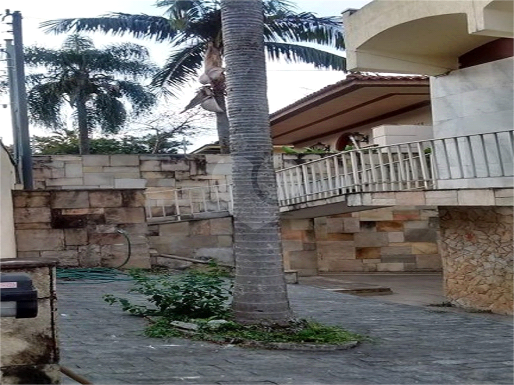 Assobradada no Tremembé 