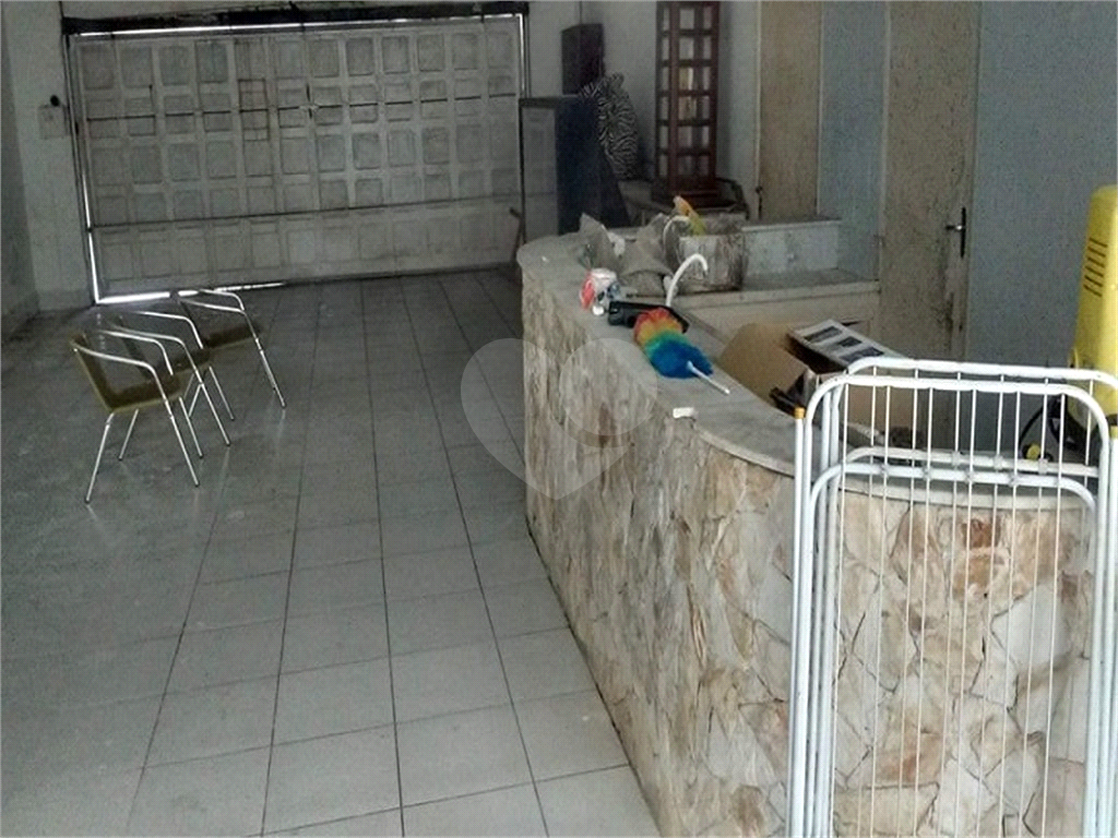 Assobradada no Tremembé 